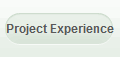 Project Experience